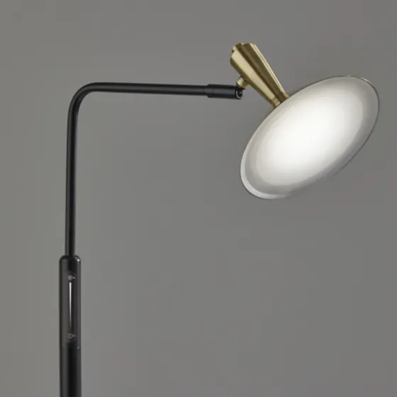 Matte Black Adjustable Light And Color Floor Lamp-Kirkland's Home Clearance