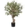 Mediterranean Olive Branch Tree In Black Pot-Kirkland's Home Discount