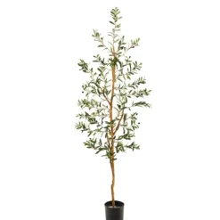 Mediterranean Olive Tree In Black Planter, 70 In.-Kirkland's Home Online