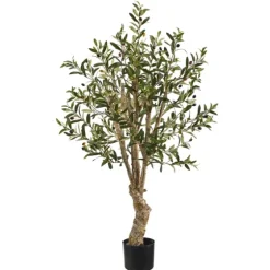 Mediterranean Olive Tree In Nursery Planter-Kirkland's Home Cheap