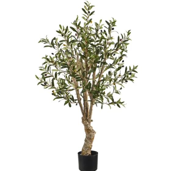 Mediterranean Olive Tree In Nursery Planter-Kirkland's Home Cheap