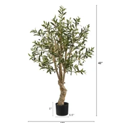 Mediterranean Olive Tree In Nursery Planter-Kirkland's Home Cheap