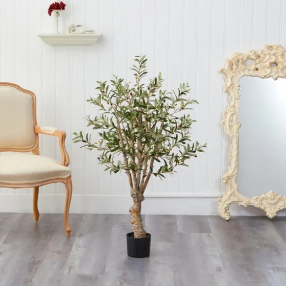 Mediterranean Olive Tree In Nursery Planter-Kirkland's Home Cheap