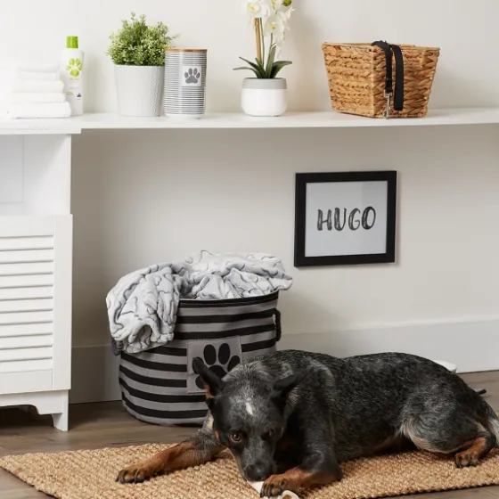 Medium Black Paw Patch Stripe Round Pet Basket-Kirkland's Home Best Sale