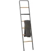 Metal And Fir Wood Leaning Ladder With Hooks-Kirkland's Home Discount