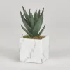 Mini Aloe Plant In White Marble Ceramic Cube-Kirkland's Home New