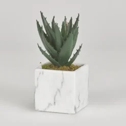 Mini Aloe Plant In White Marble Ceramic Cube-Kirkland's Home New