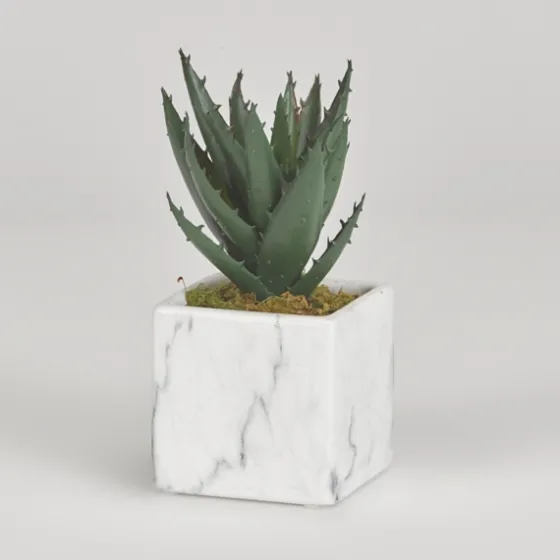 Mini Aloe Plant In White Marble Ceramic Cube-Kirkland's Home New