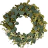 Mini Gradient Berries Twig Wreath-Kirkland's Home Fashion