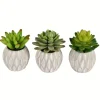 Mini Succulents In Ceramic Pots, Set Of 3-Kirkland's Home Cheap