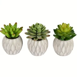 Mini Succulents In Ceramic Pots, Set Of 3-Kirkland's Home Cheap