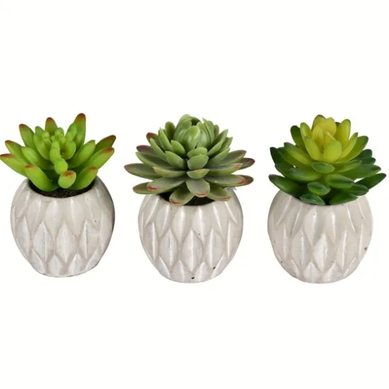 Mini Succulents In Ceramic Pots, Set Of 3-Kirkland's Home Cheap