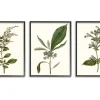 Minimal Soft Flowers Framed Art Prints, Set Of 3-Kirkland's Home Best Sale