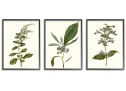 Minimal Soft Flowers Framed Art Prints, Set Of 3-Kirkland's Home Best Sale