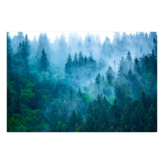 Misty Forest Peel And Stick Wall Mural-Kirkland's Home Cheap