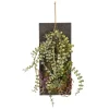Mixed Plants Wooden Wall Plaque-Kirkland's Home Hot