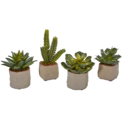 Mixed Succulent Arrangements, Set Of 4-Kirkland's Home Hot