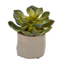 Mixed Succulent Arrangements, Set Of 4-Kirkland's Home Hot
