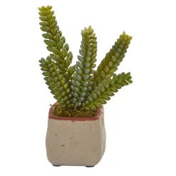 Mixed Succulent Arrangements, Set Of 4-Kirkland's Home Hot