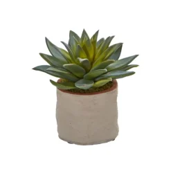 Mixed Succulent Arrangements, Set Of 4-Kirkland's Home Hot