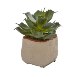 Mixed Succulent Arrangements, Set Of 4-Kirkland's Home Hot