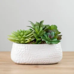 Mixed Succulent Arrangement In White Ceramic Bowl-Kirkland's Home Fashion