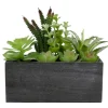 Mixed Succulents In Black Wood Planter Box-Kirkland's Home Cheap