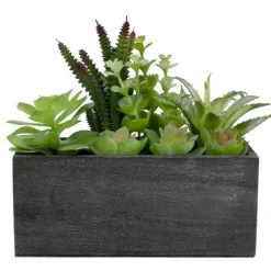 Mixed Succulents In Black Wood Planter Box-Kirkland's Home Cheap