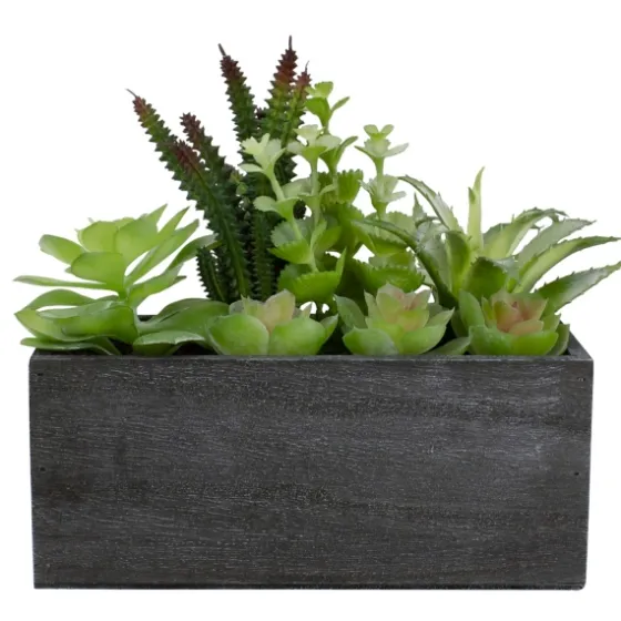 Mixed Succulents In Black Wood Planter Box-Kirkland's Home Cheap