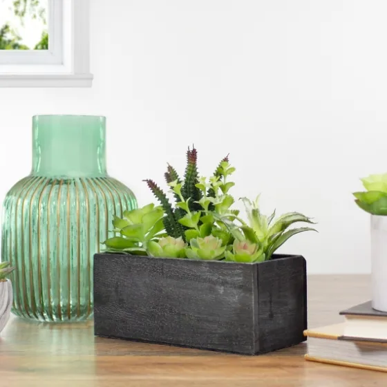 Mixed Succulents In Black Wood Planter Box-Kirkland's Home Cheap