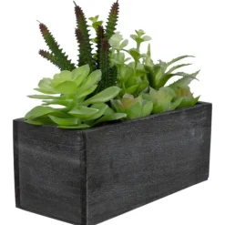 Mixed Succulents In Black Wood Planter Box-Kirkland's Home Cheap