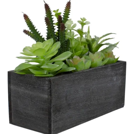 Mixed Succulents In Black Wood Planter Box-Kirkland's Home Cheap