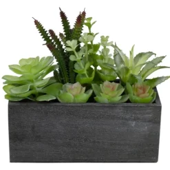 Mixed Succulents In Black Wood Planter Box-Kirkland's Home Cheap