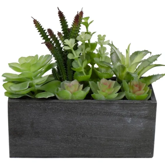 Mixed Succulents In Black Wood Planter Box-Kirkland's Home Cheap