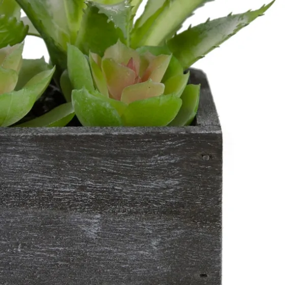 Mixed Succulents In Black Wood Planter Box-Kirkland's Home Cheap