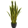 Modern Potted Laurentii Snake Plant-Kirkland's Home Fashion