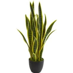 Modern Potted Laurentii Snake Plant-Kirkland's Home Fashion