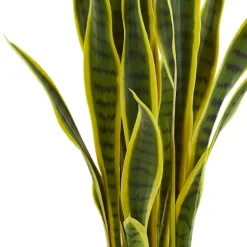 Modern Potted Laurentii Snake Plant-Kirkland's Home Fashion