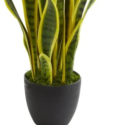 Modern Potted Laurentii Snake Plant-Kirkland's Home Fashion