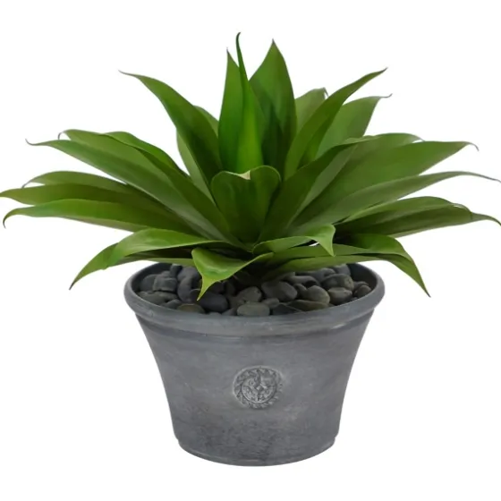 Mojave Agave Succulent In Gray Planter-Kirkland's Home Cheap