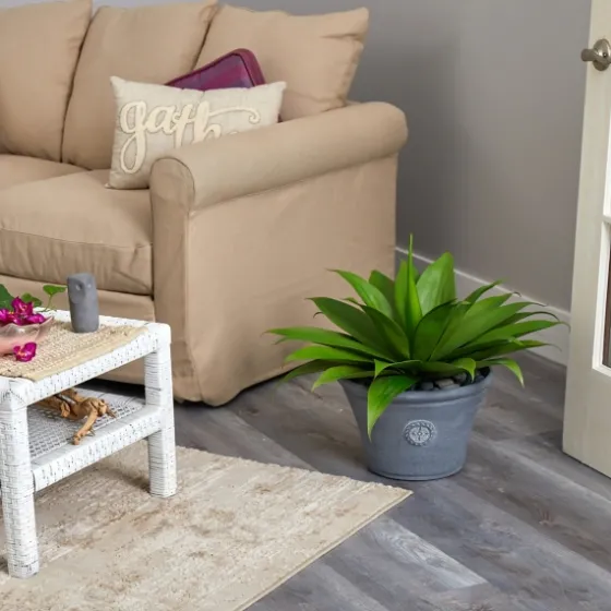 Mojave Agave Succulent In Gray Planter-Kirkland's Home Cheap