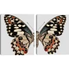 Monarch Butterfly I & Ii Canvas Prints, Set Of 2-Kirkland's Home Clearance