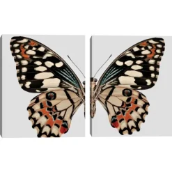 Monarch Butterfly I & Ii Canvas Prints, Set Of 2-Kirkland's Home Clearance