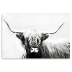 Monochrome Longhorn Canvas Art Print, 60X40 In.-Kirkland's Home Outlet