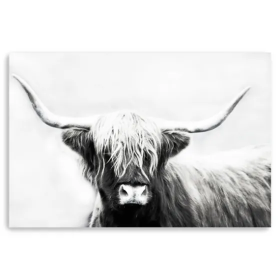 Monochrome Longhorn Canvas Art Print, 60X40 In.-Kirkland's Home Outlet