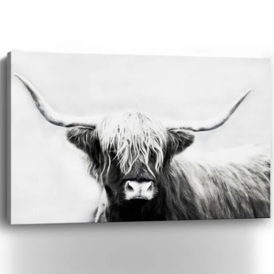 Monochrome Longhorn Canvas Art Print, 60X40 In.-Kirkland's Home Outlet