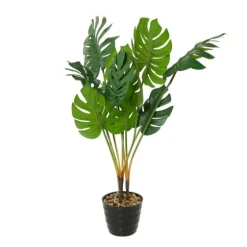 Monstera Plant In Ribbed Rock Planter-Kirkland's Home Outlet