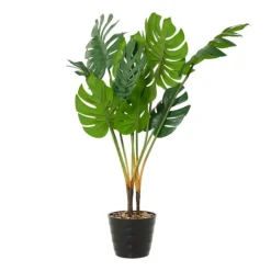 Monstera Plant In Ribbed Rock Planter-Kirkland's Home Outlet