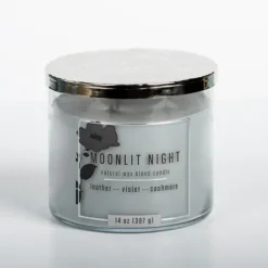 Moonlit Night Triple Wick Jar Candle-Kirkland's Home Sale