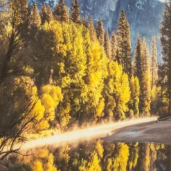 Morning In Paradise Glass Art Print-Kirkland's Home Shop